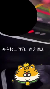 金瓶梅3在线观看